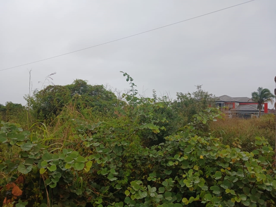0 Bedroom Property for Sale in Muledane Limpopo