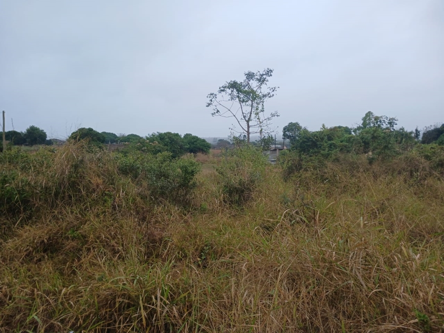 0 Bedroom Property for Sale in Muledane Limpopo