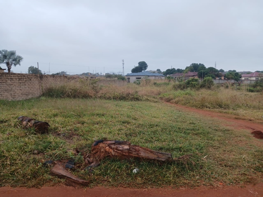 0 Bedroom Property for Sale in Muledane Limpopo