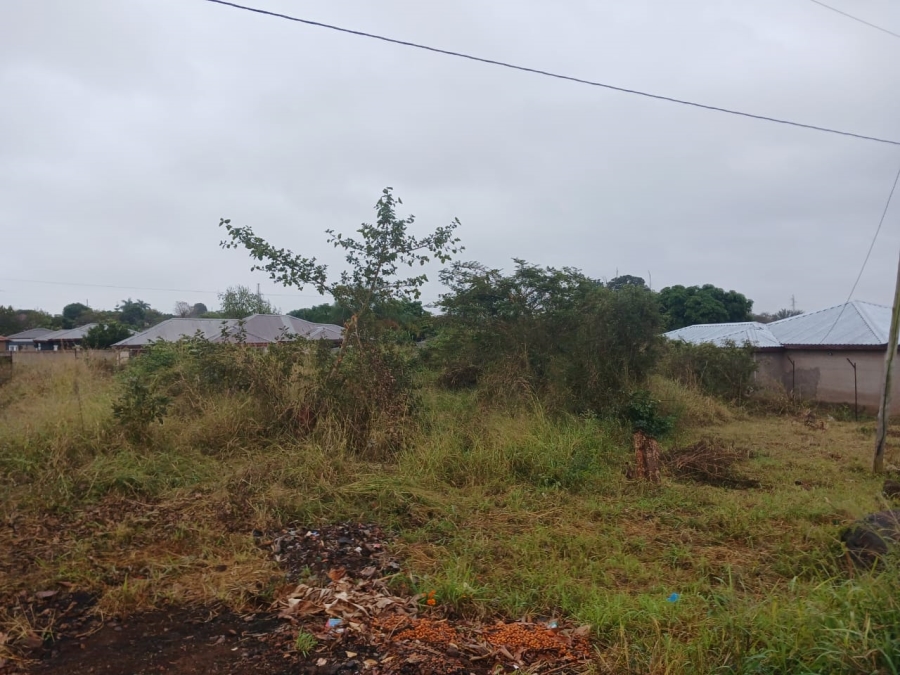 0 Bedroom Property for Sale in Muledane Limpopo