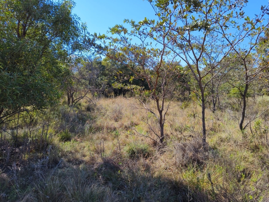 0 Bedroom Property for Sale in Bela Bela Limpopo