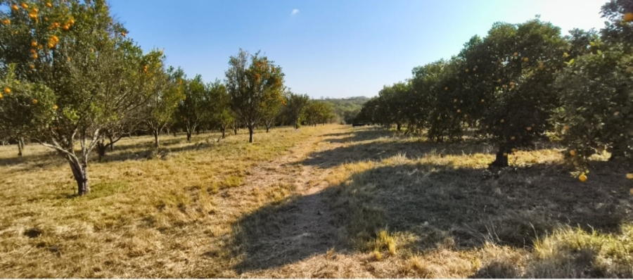 4 Bedroom Property for Sale in Louis Trichardt Park Limpopo
