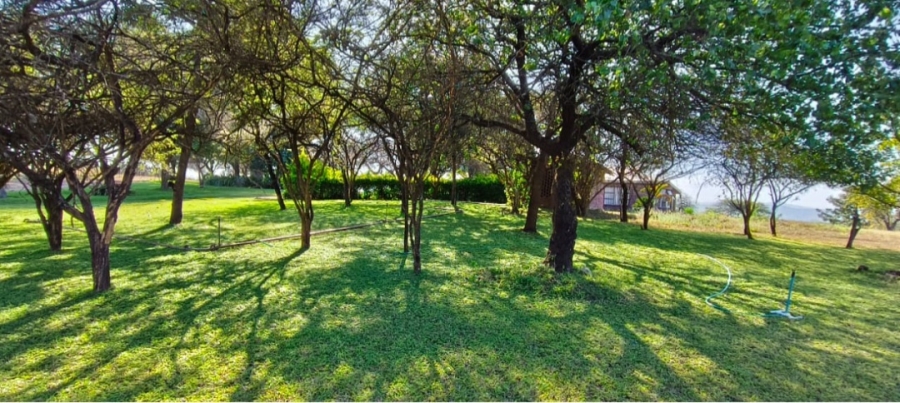 4 Bedroom Property for Sale in Louis Trichardt Park Limpopo