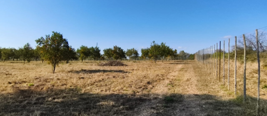 4 Bedroom Property for Sale in Louis Trichardt Park Limpopo