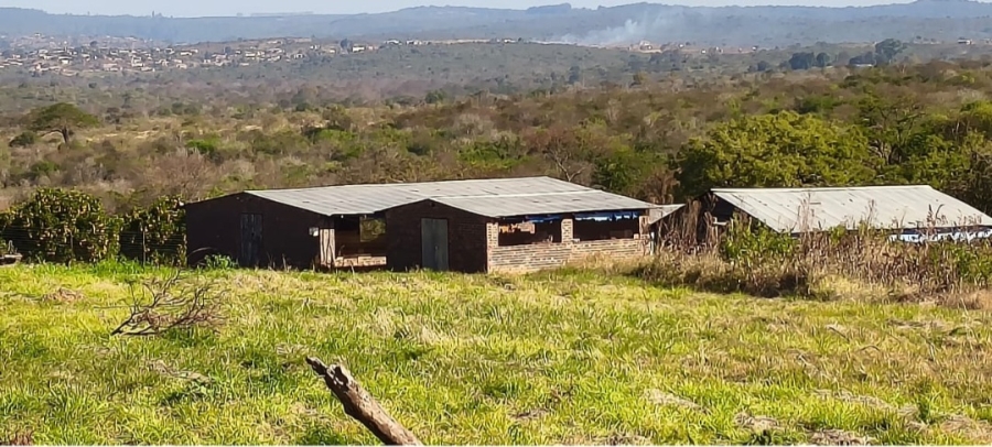 4 Bedroom Property for Sale in Louis Trichardt Park Limpopo