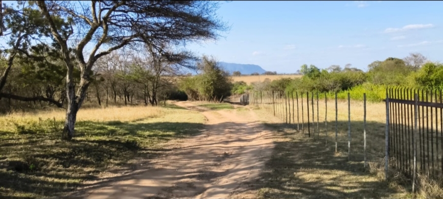 4 Bedroom Property for Sale in Louis Trichardt Park Limpopo