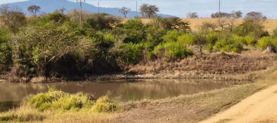 4 Bedroom Property for Sale in Louis Trichardt Park Limpopo