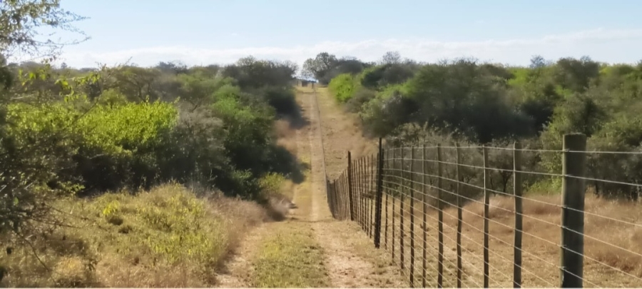 4 Bedroom Property for Sale in Louis Trichardt Park Limpopo