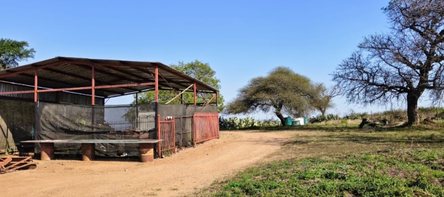 4 Bedroom Property for Sale in Louis Trichardt Park Limpopo