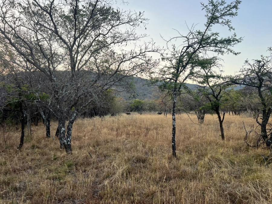 8 Bedroom Property for Sale in Mookgopong Rural Limpopo