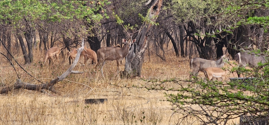 8 Bedroom Property for Sale in Mookgopong Rural Limpopo