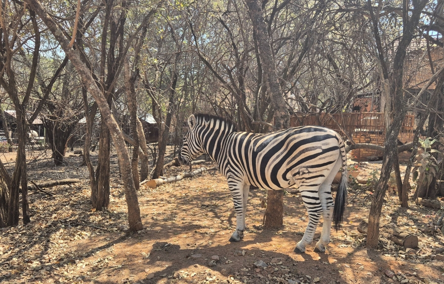3 Bedroom Property for Sale in Leeupoort Limpopo