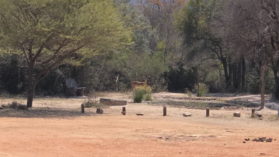 3 Bedroom Property for Sale in Leeupoort Limpopo