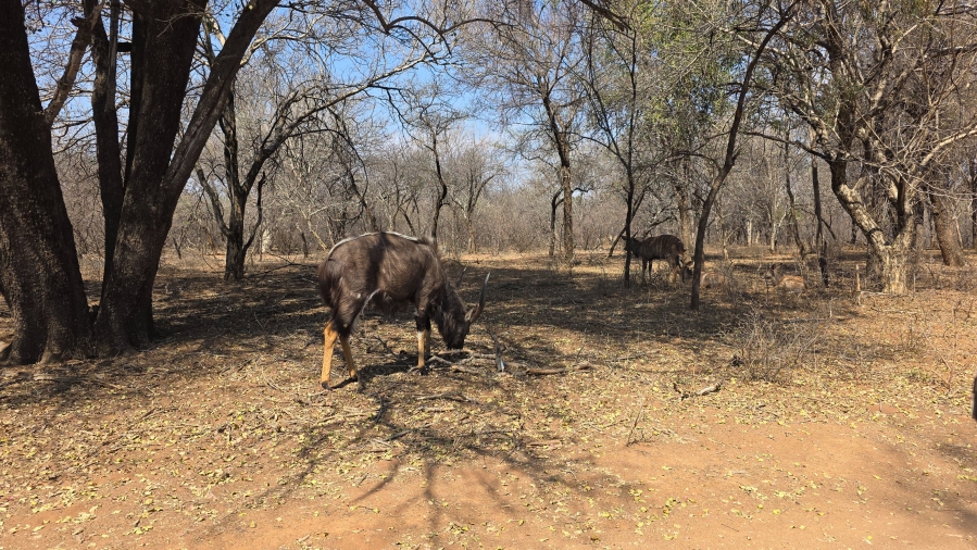 3 Bedroom Property for Sale in Leeupoort Limpopo