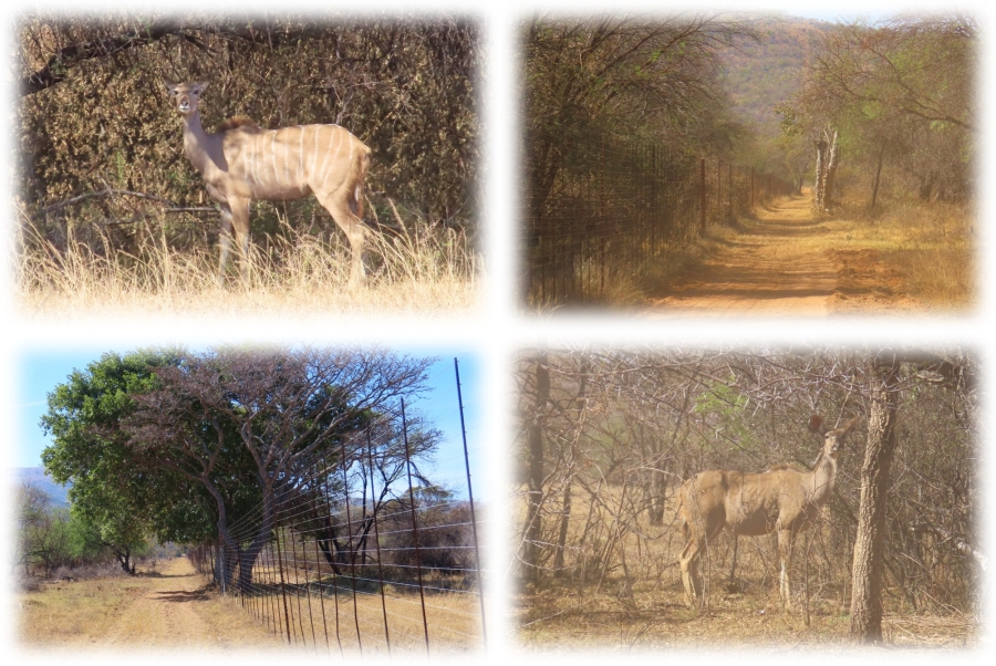 5 Bedroom Property for Sale in Alma Limpopo