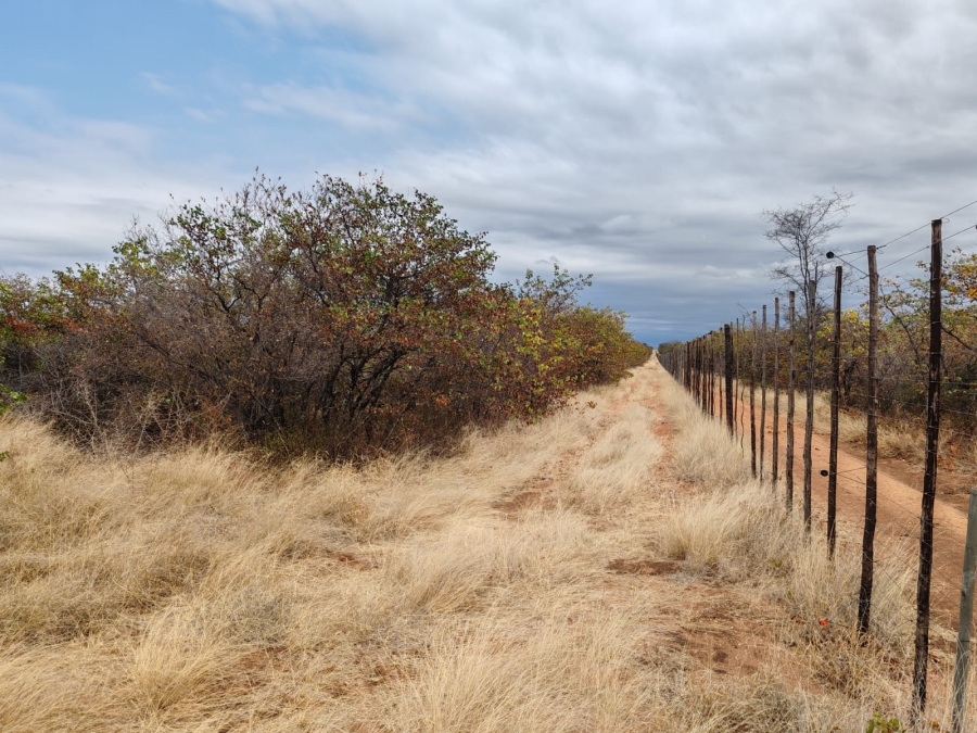 Commercial Property for Sale in Mopane Limpopo