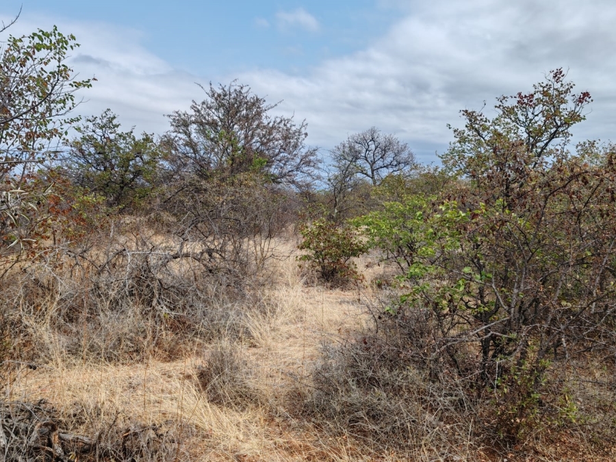 Commercial Property for Sale in Mopane Limpopo