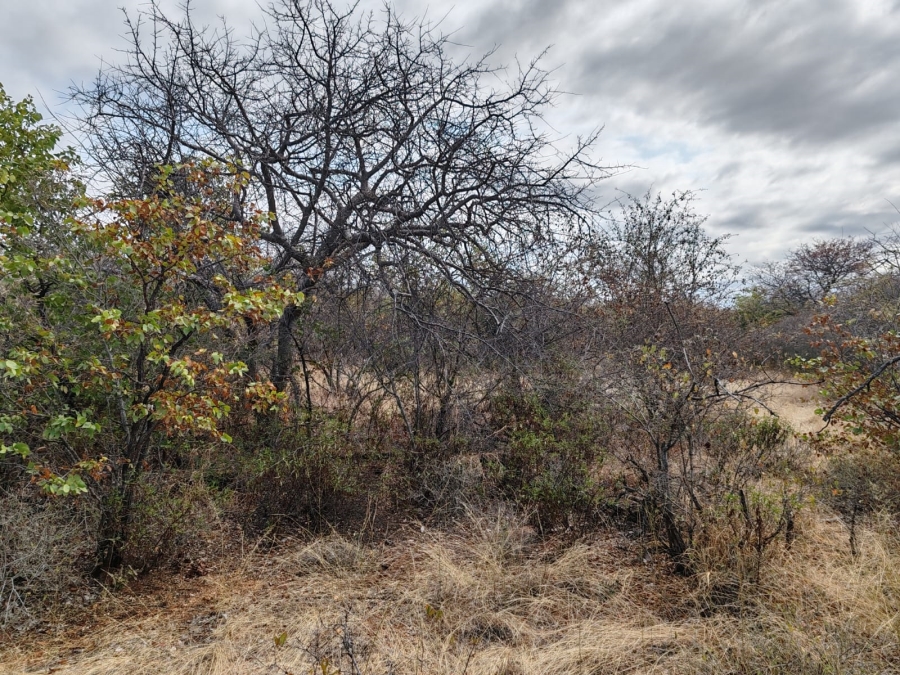Commercial Property for Sale in Mopane Limpopo
