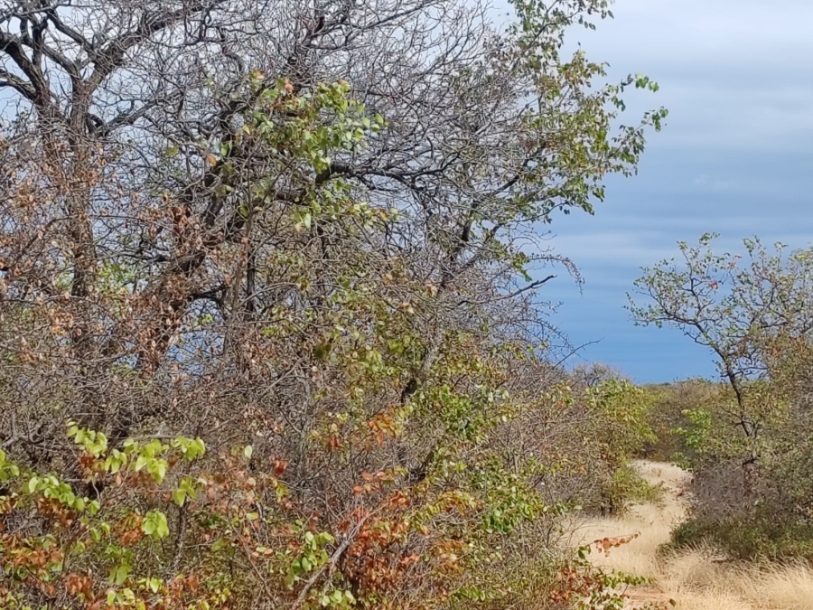 Commercial Property for Sale in Mopane Limpopo