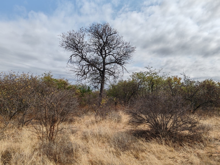 Commercial Property for Sale in Mopane Limpopo