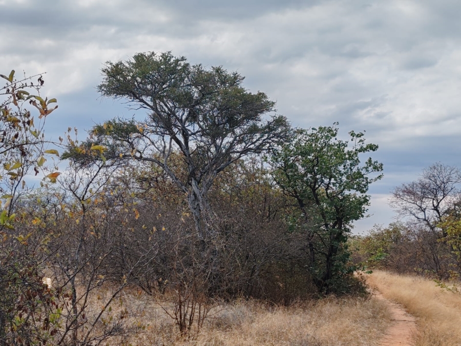 Commercial Property for Sale in Mopane Limpopo