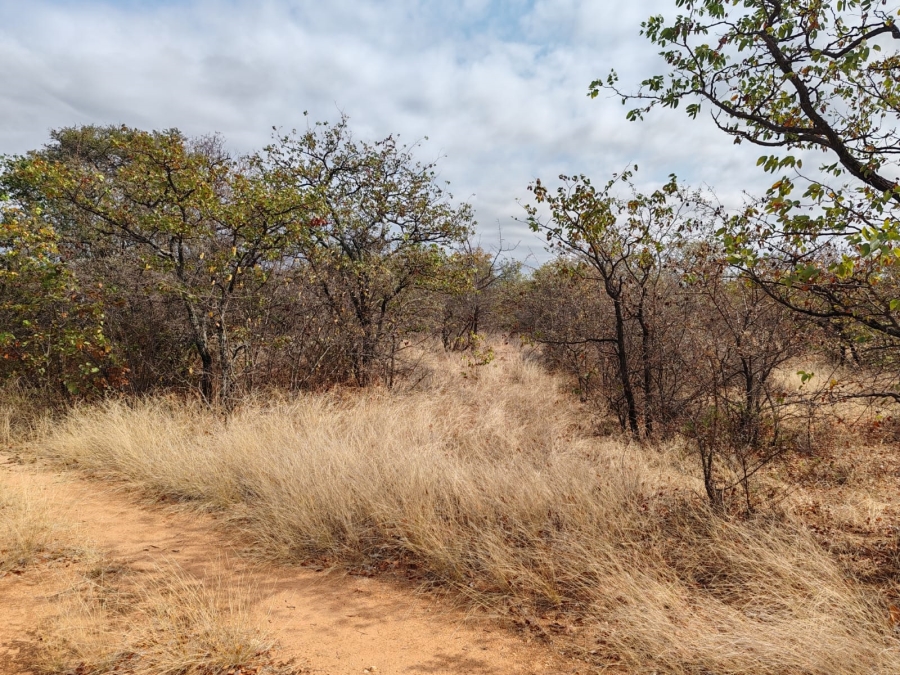 Commercial Property for Sale in Mopane Limpopo