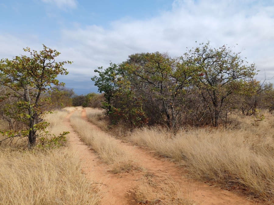 Commercial Property for Sale in Mopane Limpopo