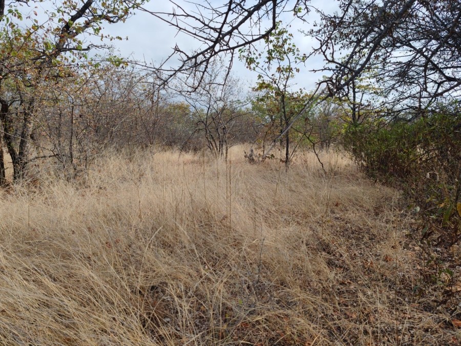 Commercial Property for Sale in Mopane Limpopo