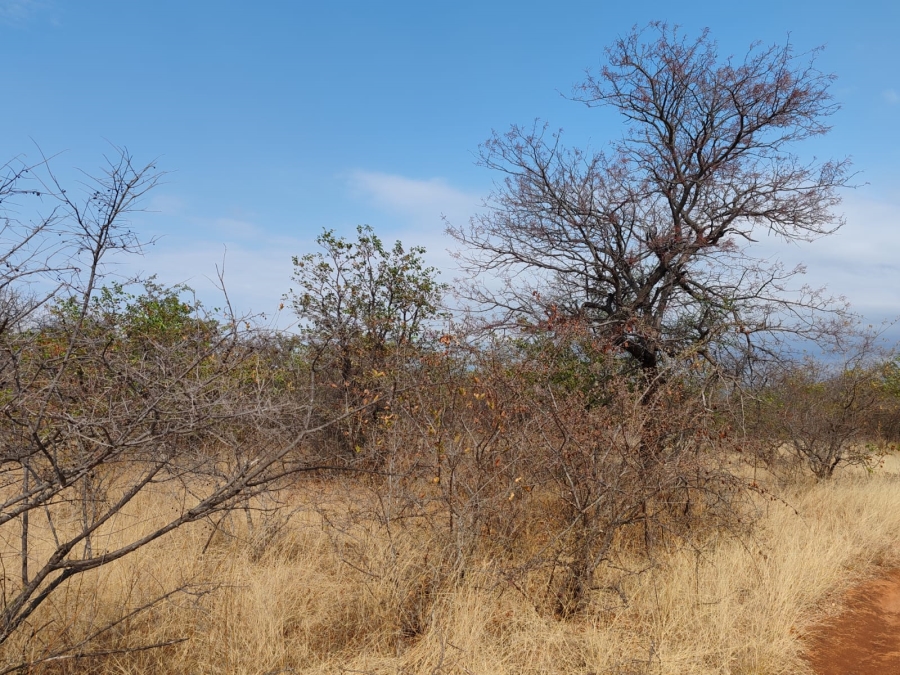 Commercial Property for Sale in Mopane Limpopo