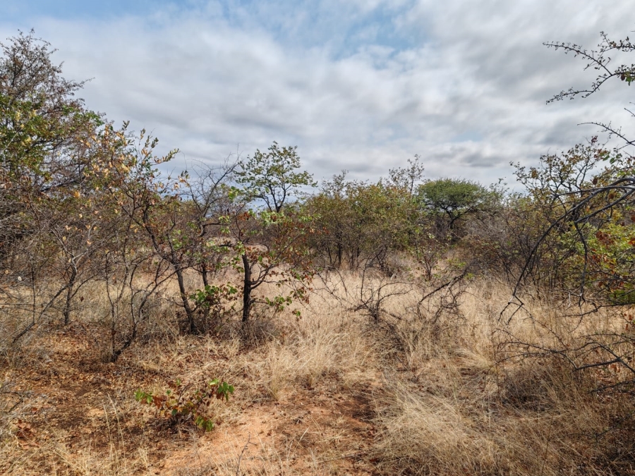 Commercial Property for Sale in Mopane Limpopo