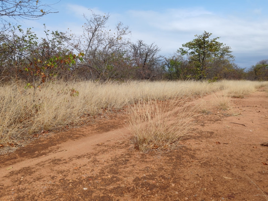 Commercial Property for Sale in Mopane Limpopo