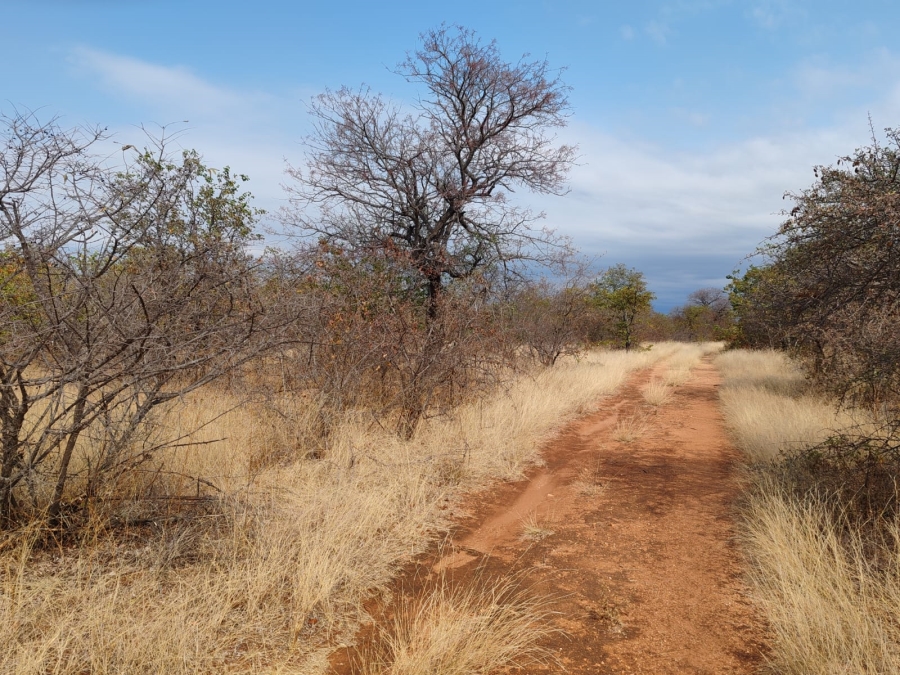 Commercial Property for Sale in Mopane Limpopo
