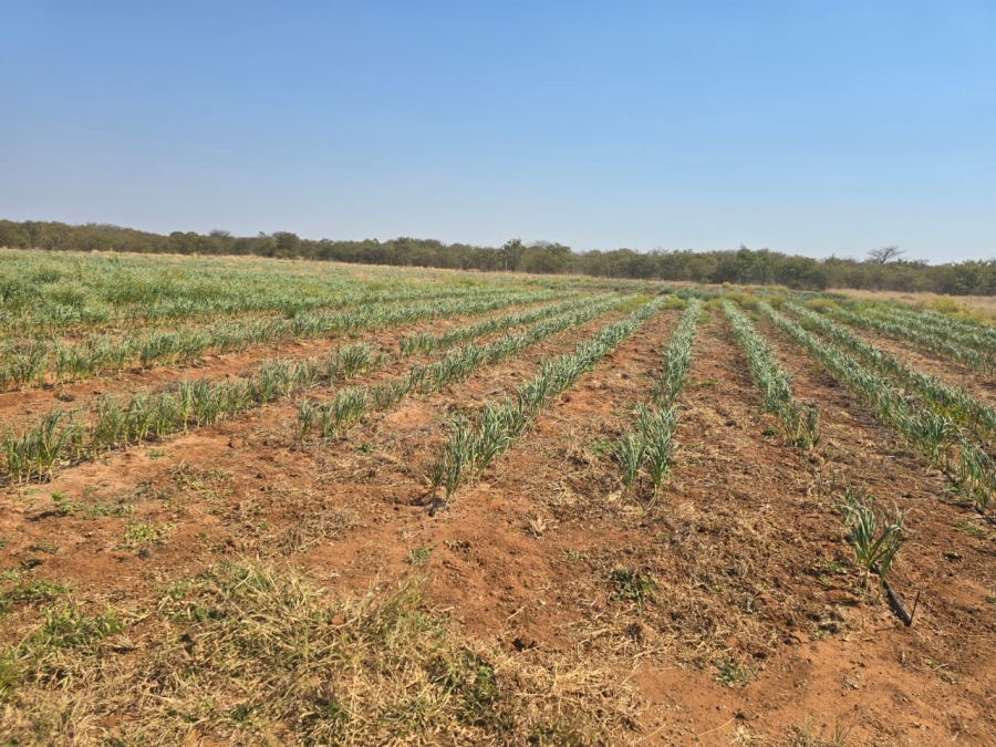 5 Bedroom Property for Sale in Mopane Limpopo