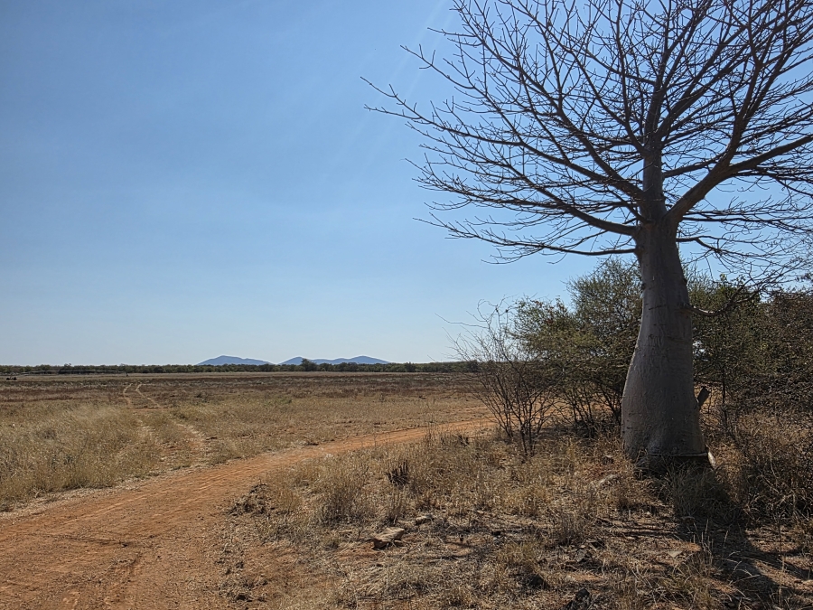 5 Bedroom Property for Sale in Mopane Limpopo