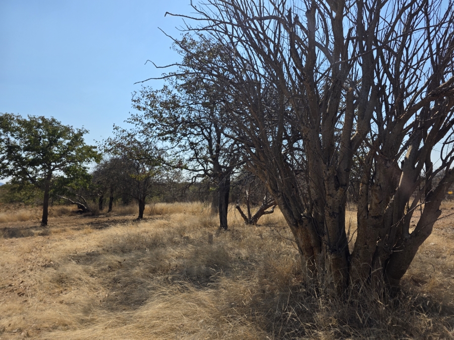 5 Bedroom Property for Sale in Mopane Limpopo