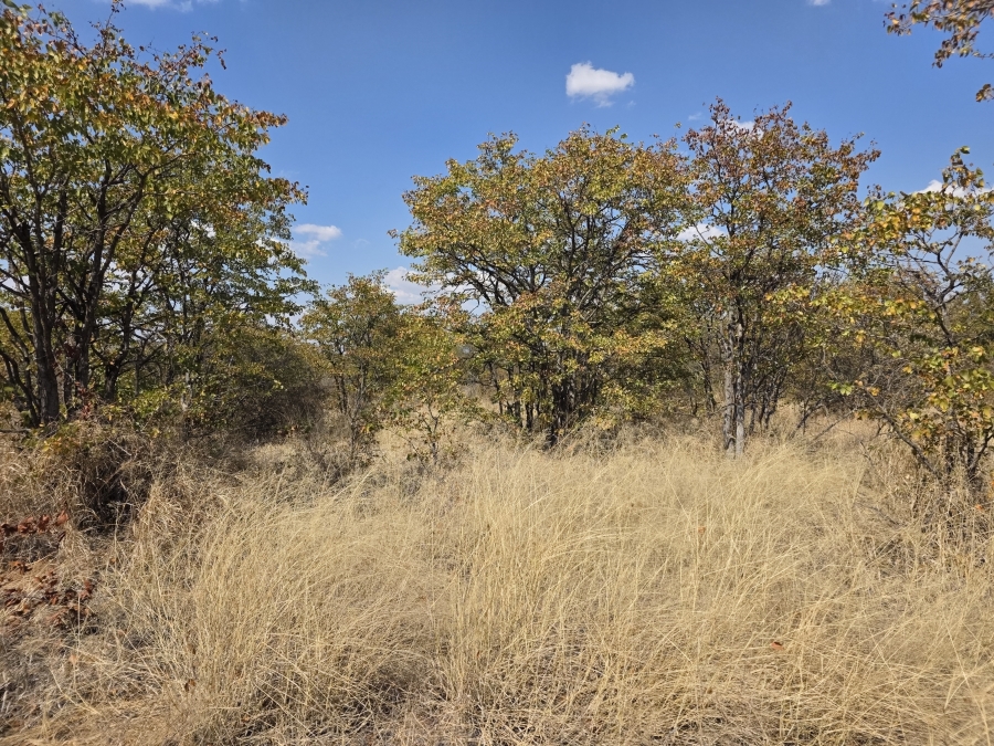 5 Bedroom Property for Sale in Mopane Limpopo