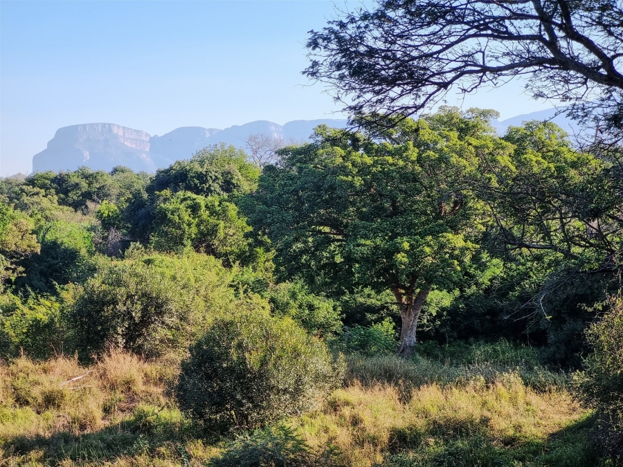 3 Bedroom Property for Sale in Leadwood Big Game Estate Limpopo