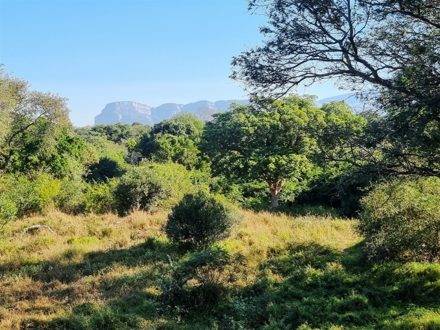 3 Bedroom Property for Sale in Leadwood Big Game Estate Limpopo