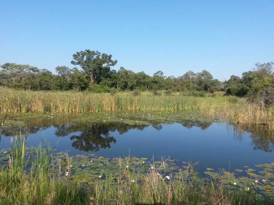 To Let 3 Bedroom Property for Rent in Verloren Estate Limpopo