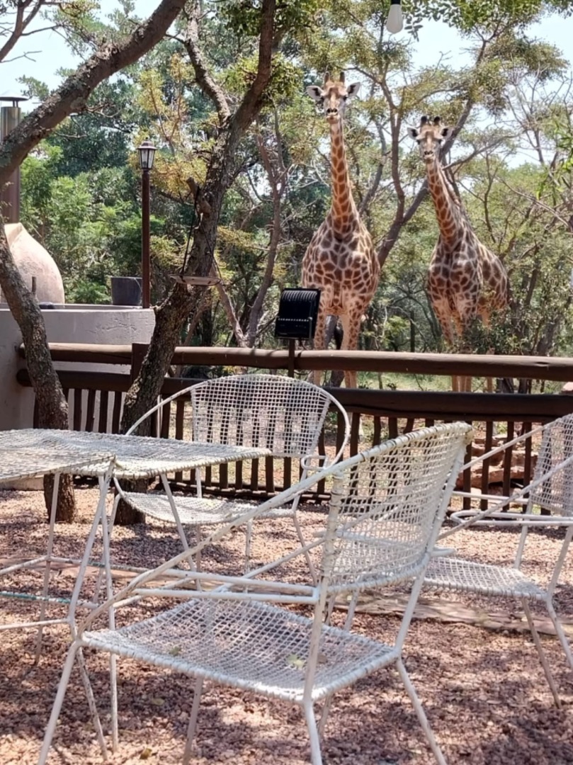 To Let 3 Bedroom Property for Rent in Verloren Estate Limpopo