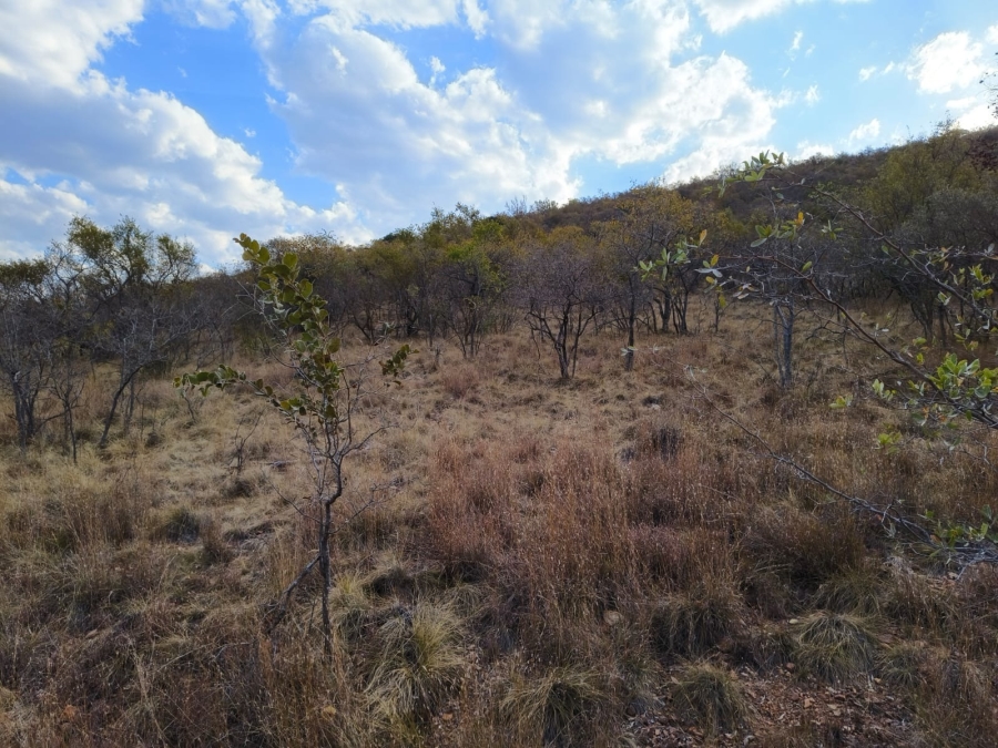 0 Bedroom Property for Sale in Bela Bela Limpopo