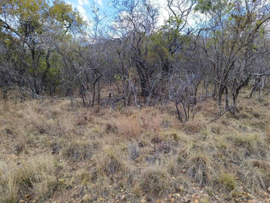 0 Bedroom Property for Sale in Bela Bela Limpopo