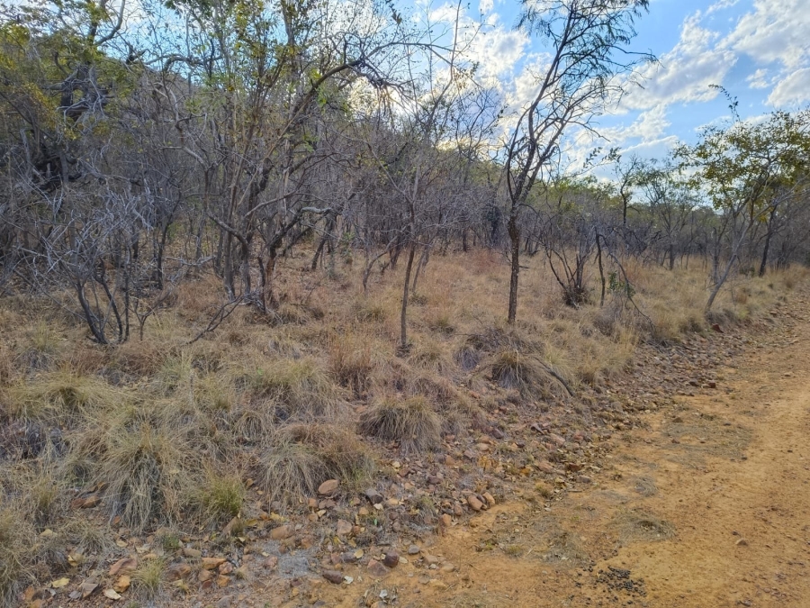 0 Bedroom Property for Sale in Bela Bela Limpopo