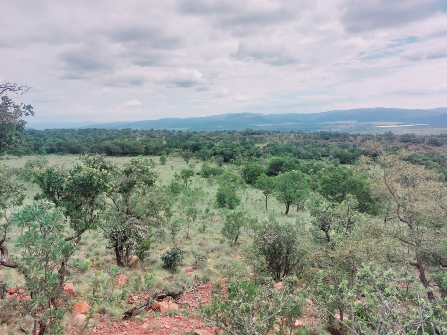 8 Bedroom Property for Sale in Modimolle Limpopo
