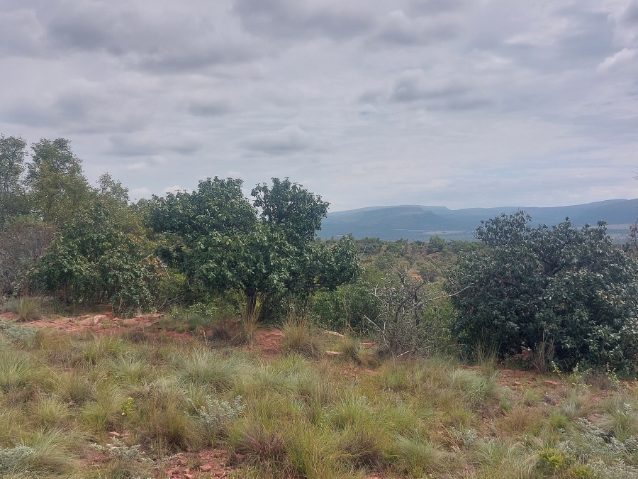 8 Bedroom Property for Sale in Modimolle Limpopo