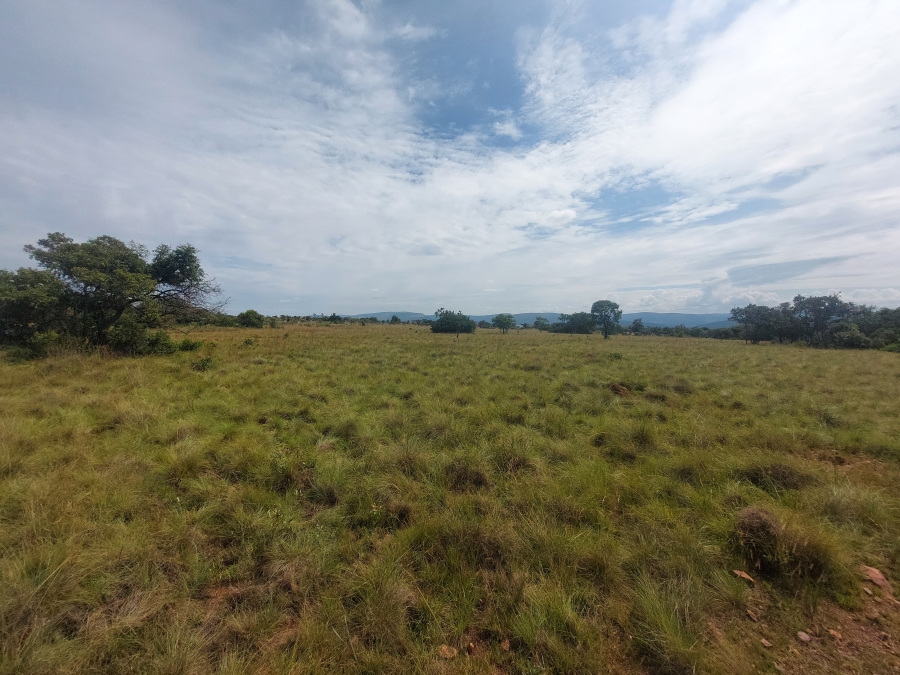 8 Bedroom Property for Sale in Modimolle Limpopo