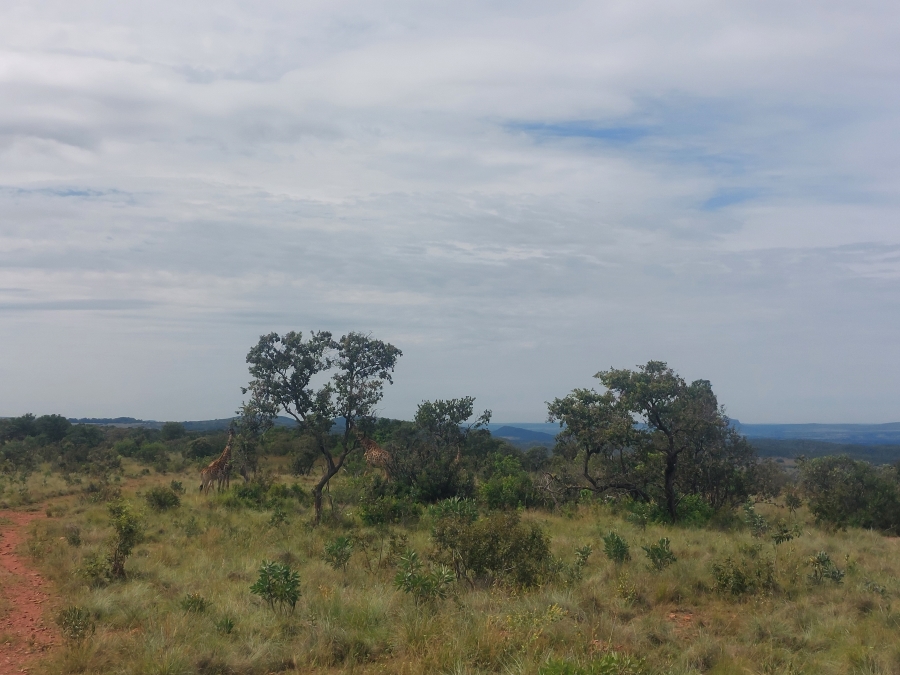 8 Bedroom Property for Sale in Modimolle Limpopo