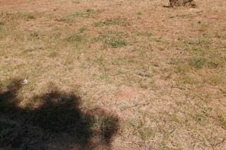 0 Bedroom Property for Sale in Bendor Limpopo