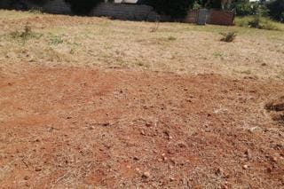 0 Bedroom Property for Sale in Bendor Limpopo