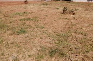 0 Bedroom Property for Sale in Bendor Limpopo